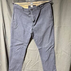 GAP Men's Blue Striped pants